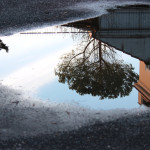 Riflessi